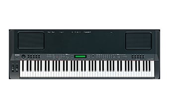 CP300