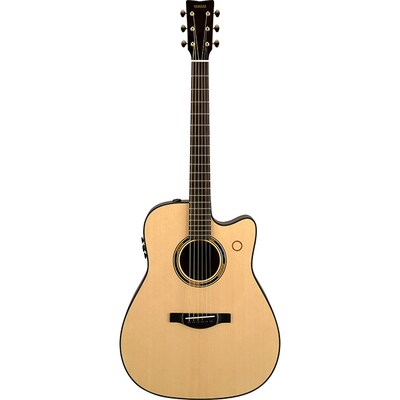 TransAcoustic 吉他 TAG3 C NT
