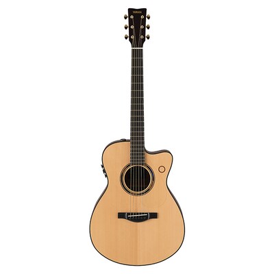 TransAcoustic 吉他 TAS3 C NT