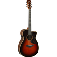 Tobacco Brown Sunburst