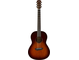 CSF1M Tobacco Brown Sunburst Straight Front