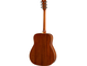 FG820 Brown Sunburst Right Back