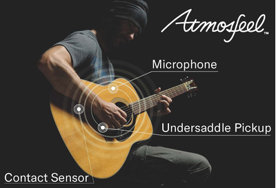 Atmosfeel™ 三段拾音器和前級放大系統