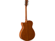 FSX820C Brown Sunburst Left Back