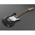 PACP12 Black Metallic