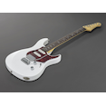 PACP12 Shell White