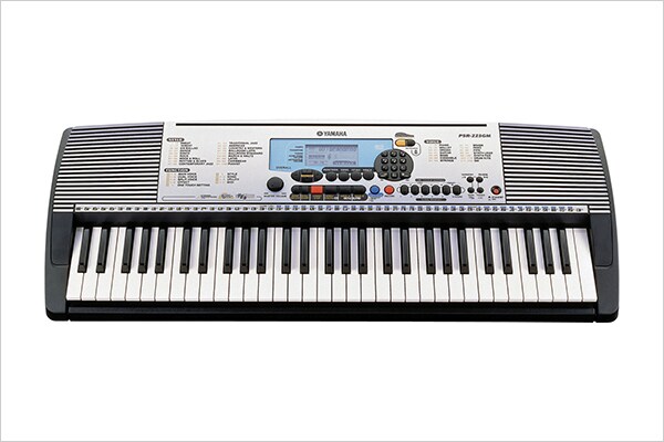 PSR-225GM