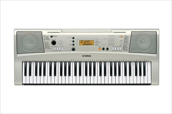 PSR-E313