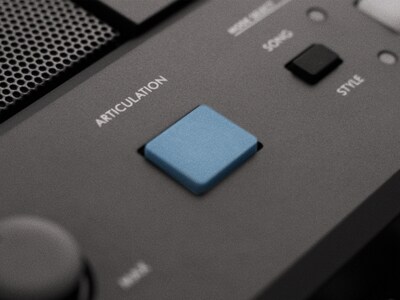 PSR-E483 超擬真按鈕功能圖