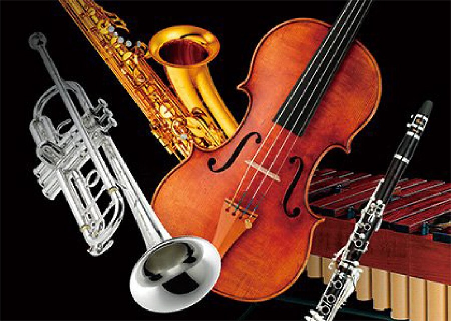 A variety of musical instruments
