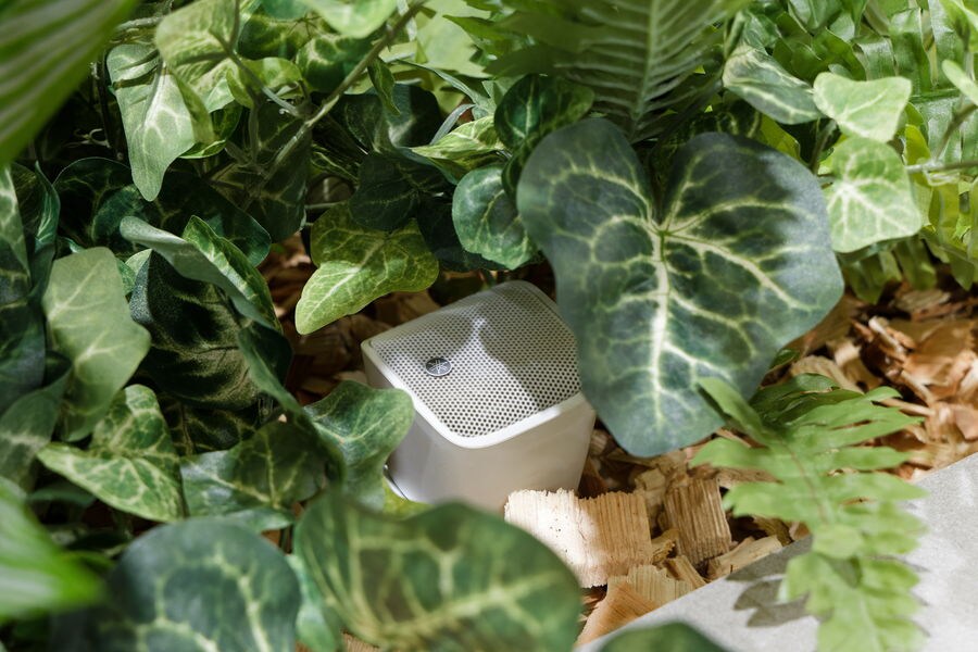安裝在植物中用於聲音遮蔽的超精巧型喇叭 VXS1MLW